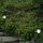 Garden Lights Larix - Sockelleuchten