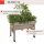 Hochbeet Wallhugger103x46x80 cm VegTrug