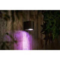 Garden Lights Smart Gilvus schwarz Plus - Wandleuchte