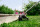 KRESS 60V/38cm Trimmer
