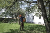 Husqvarna Akku-Hochentaster 120iTK4-P Set