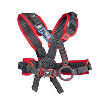 upMOTION SRT