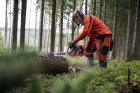 Motorsäge mit 50 cm Schiene und Sägekette