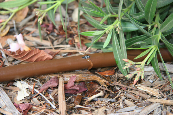 Rain Bird Tropfrohr XFD