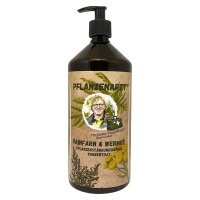 Rainfarn und Wermut Konzentrat 1l
