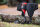 Distel-Stahl, Polster Classic, Klett-Riemen, Dorn medium