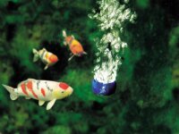 Oase AquaOxy 2000 - Teichbelüfter Sauerstoffpumpe