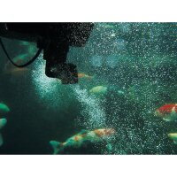 Oase SwimSkim 50 - Skimmer