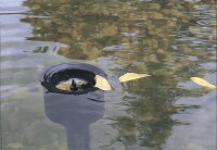 Oase AquaSkim 40 - Standskimmer