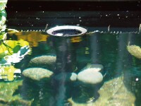 Oase AquaSkim 40 - Standskimmer