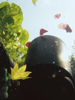 Oase AquaSkim 40 - Standskimmer
