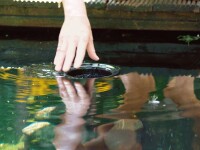 Oase AquaSkim 40 - Standskimmer
