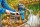 Oase PondoVac 5 - Teich und Poolsauger