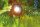 Oase LunAqua Power LED Set 1 - Gartenbeleuchtung Gartenlicht